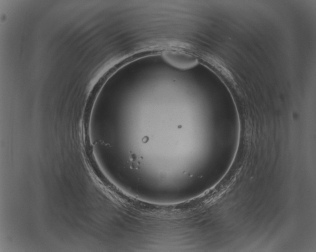 X0000066930936200603311348