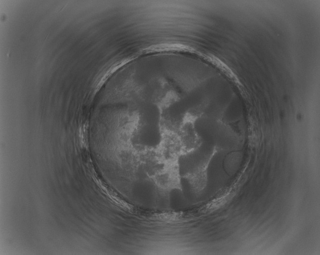 X0000066930937200603311348