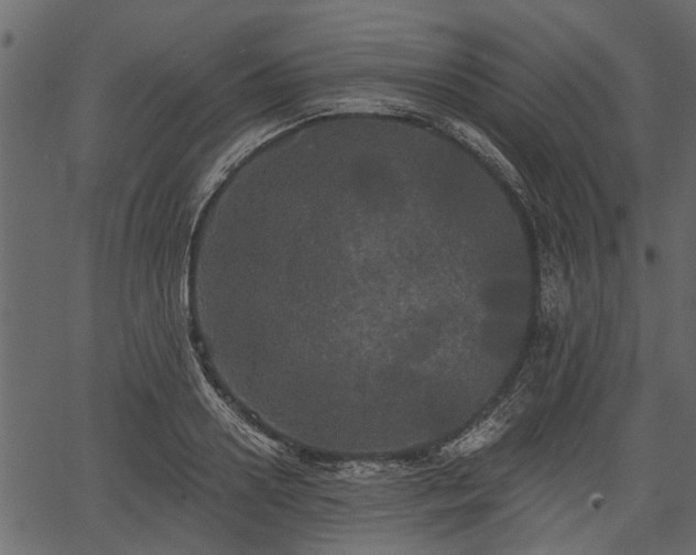 X0000066930938200603311348