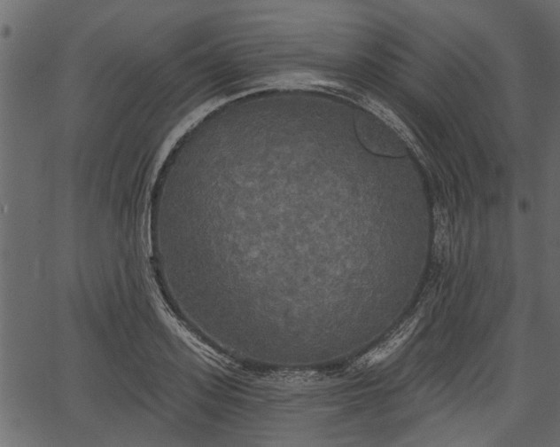 X0000066930939200603311348