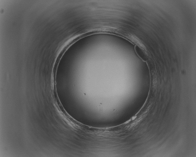 X0000066930940200603311348