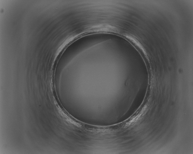 X0000066930941200603311348