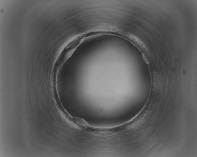 X0000066930942200603311348