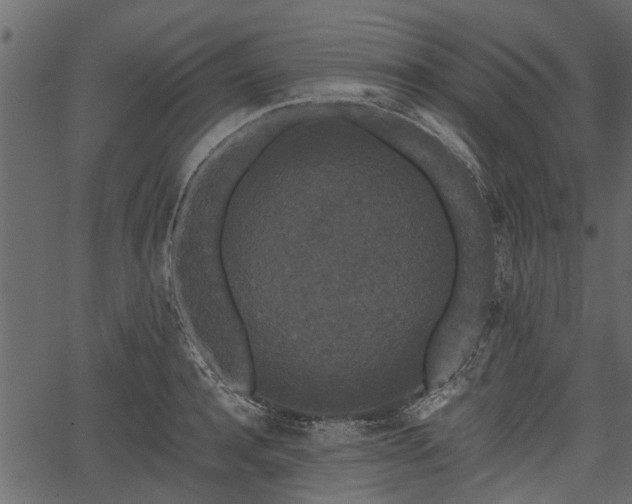 X0000066930944200603311348