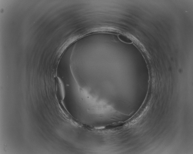 X0000066930945200603311348