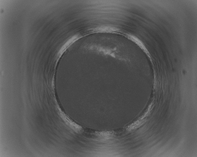 X0000066930946200603311348