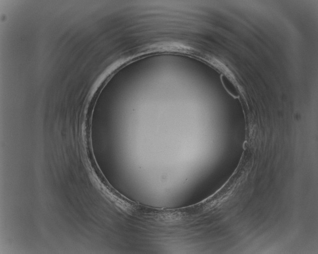 X0000066930947200603311348