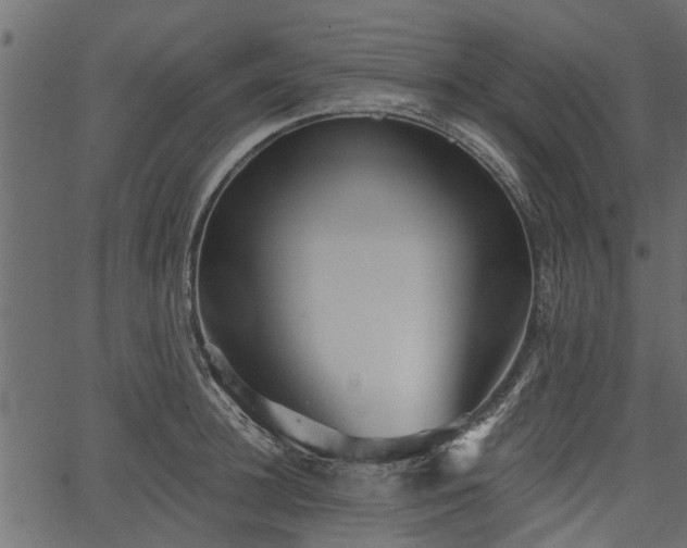 X0000066930948200603311348