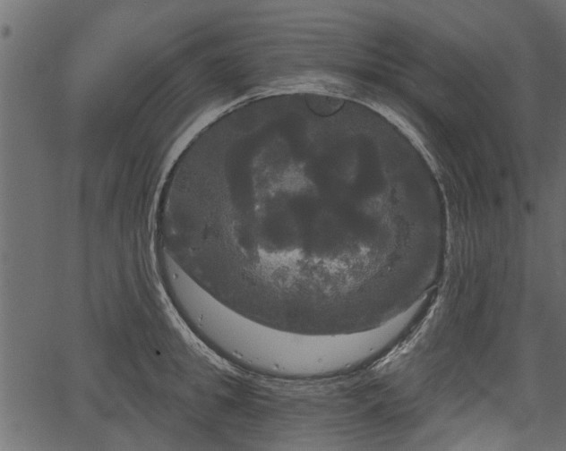 X0000066930949200603311348