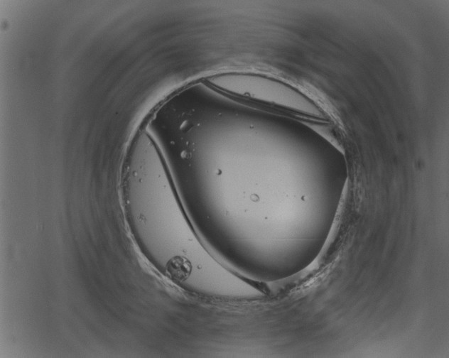 X0000066930950200603311348