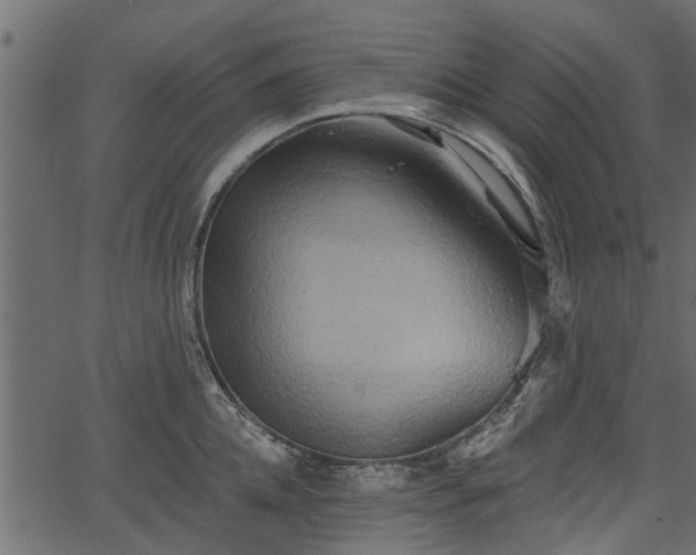 X0000066930952200603311348