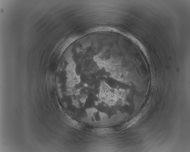 X0000066930953200603311349