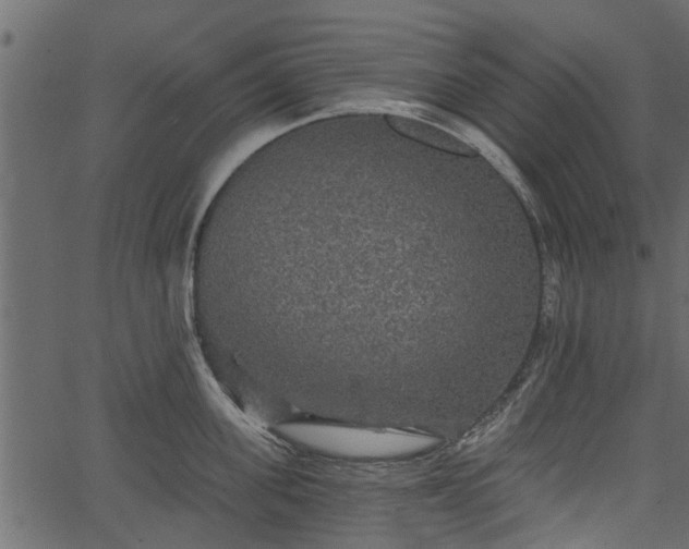 X0000066930955200603311349