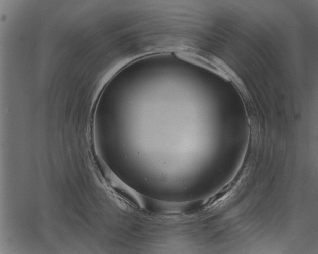 X0000066930956200603311349