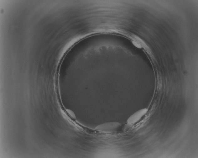 X0000066930958200603311349