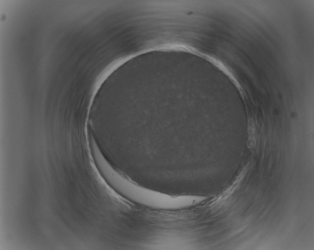 X0000066930959200603311349