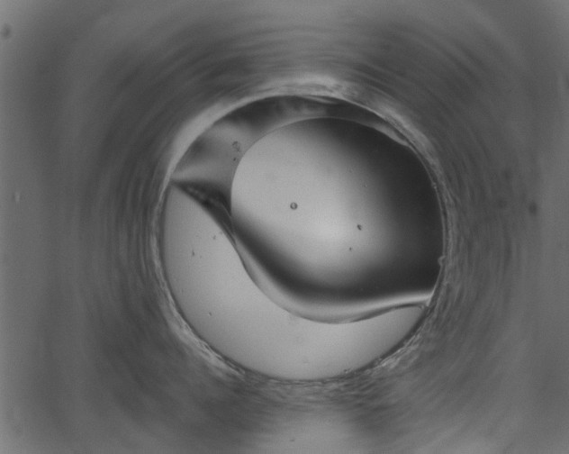 X0000066930960200603311349