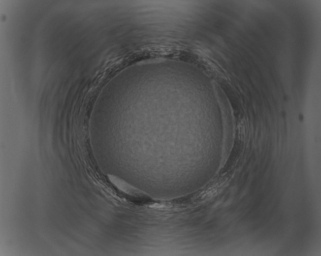 X0000066930961200603311348