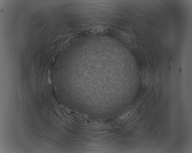 X0000066930962200603311348