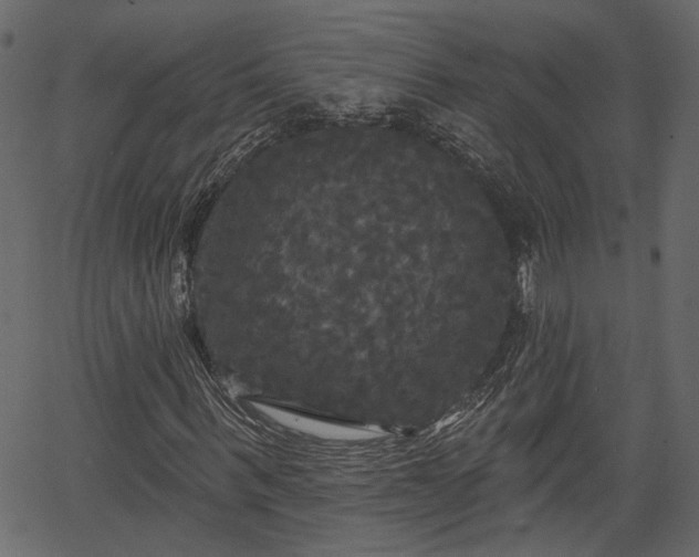 X0000066930963200603311348