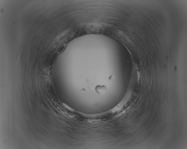 X0000066930964200603311348