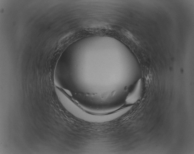 X0000066930965200603311348