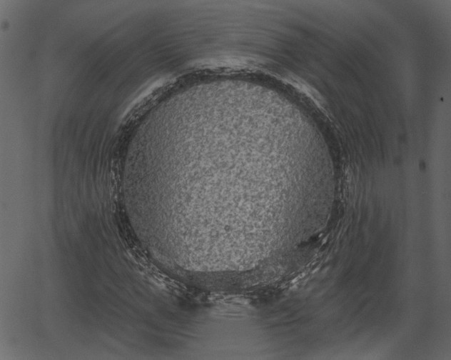 X0000066930967200603311348