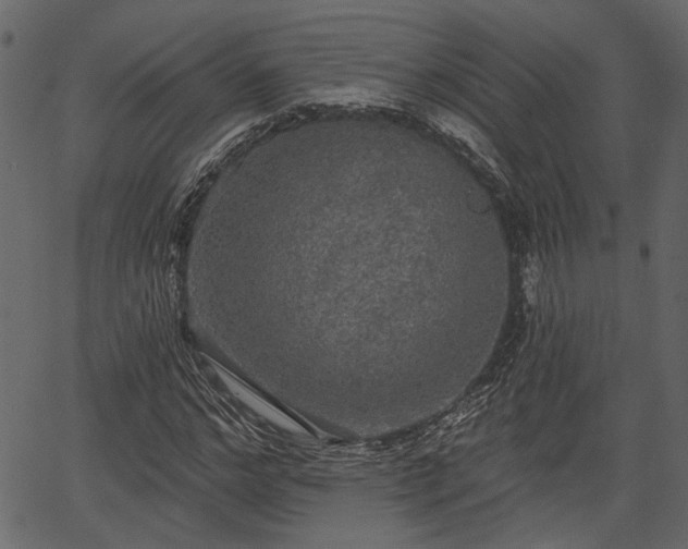 X0000066930968200603311348