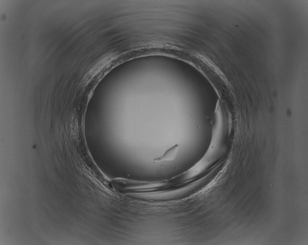 X0000066930969200603311348