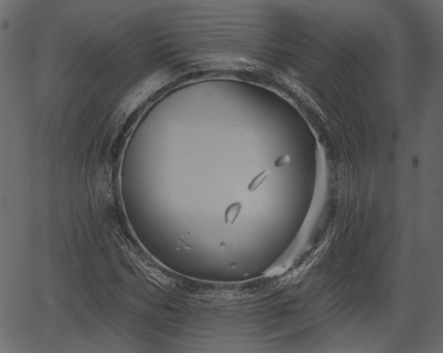 X0000066930970200603311348