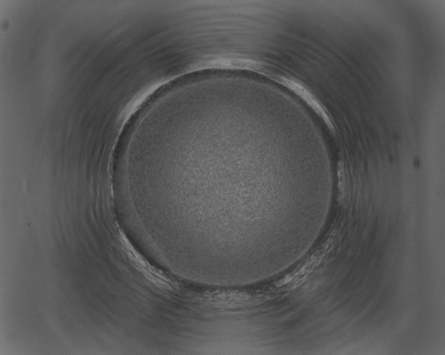 X0000066930972200603311348