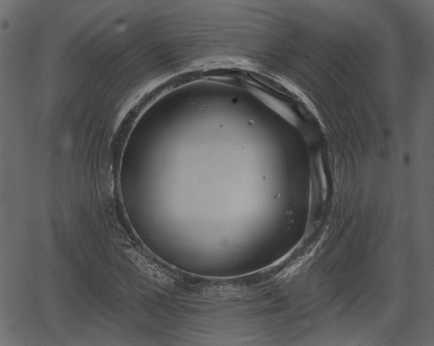 X0000066930973200603311348