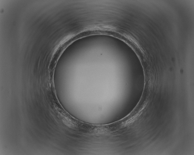 X0000066930974200603311348