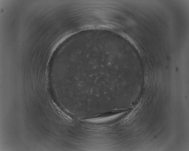 X0000066930975200603311348