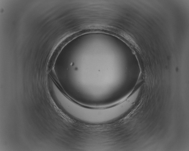 X0000066930976200603311348