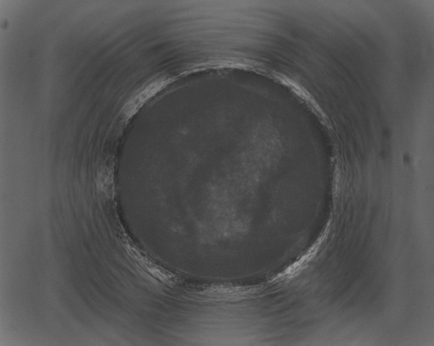 X0000066930977200603311347