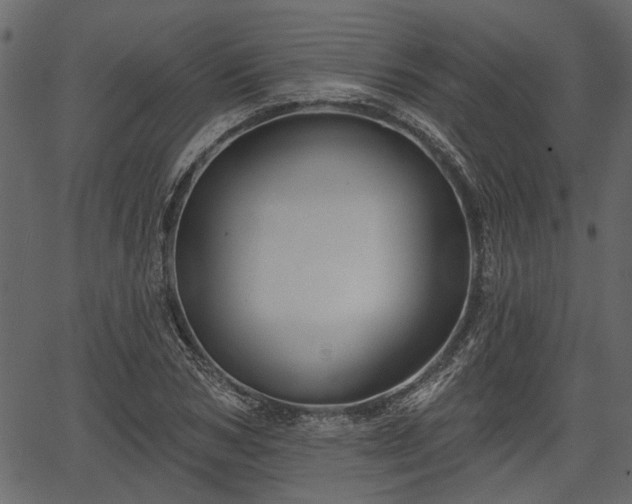 X0000066930978200603311347