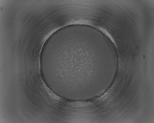 X0000066930980200603311347