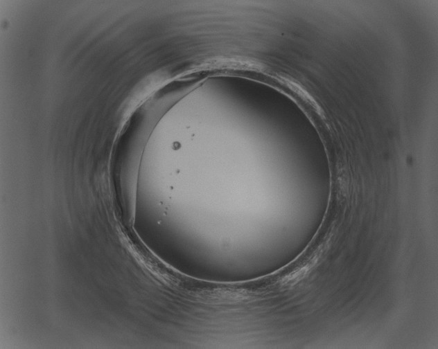 X0000066930981200603311347