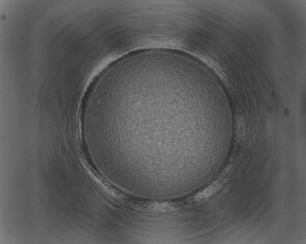 X0000066930982200603311347