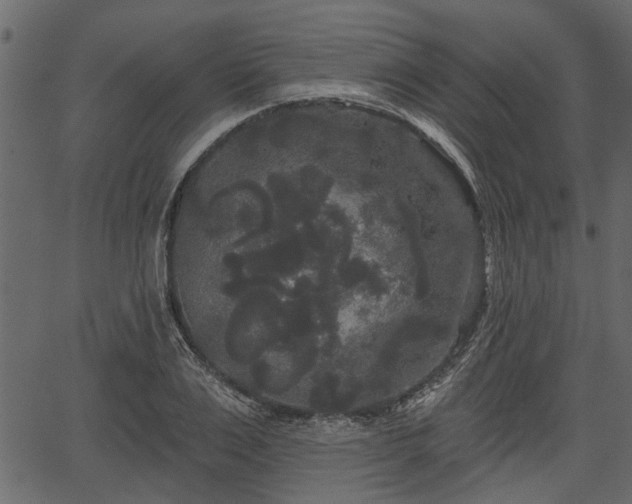 X0000066930983200603311347