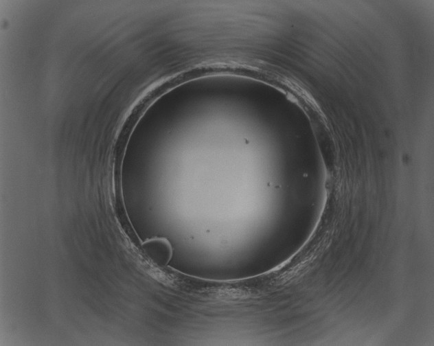 X0000066930984200603311347