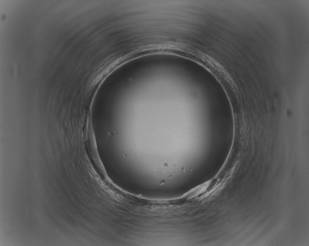 X0000066930985200603311347