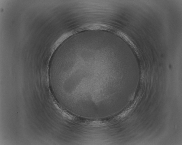 X0000066930986200603311347