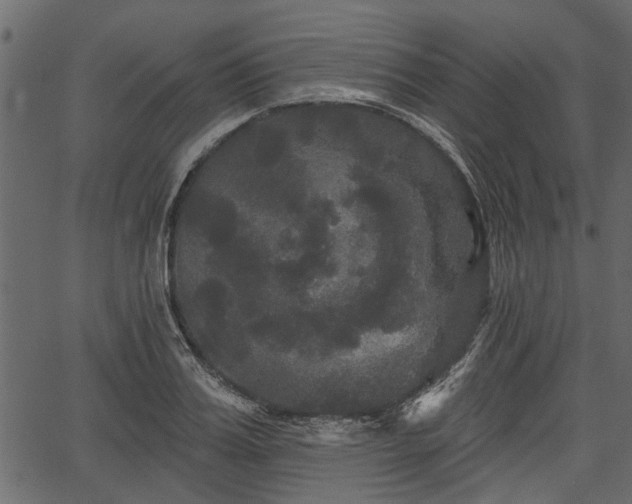 X0000066930987200603311347