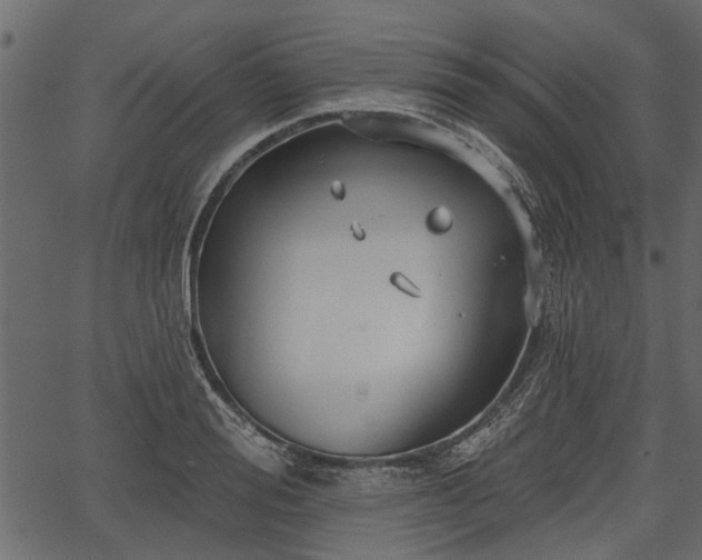 X0000066930988200603311347