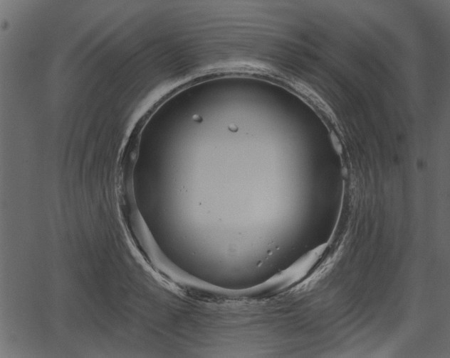 X0000066930989200603311347