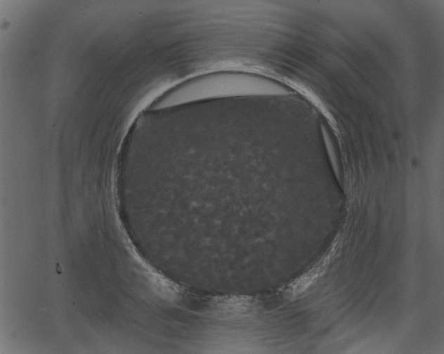 X0000066930991200603311347