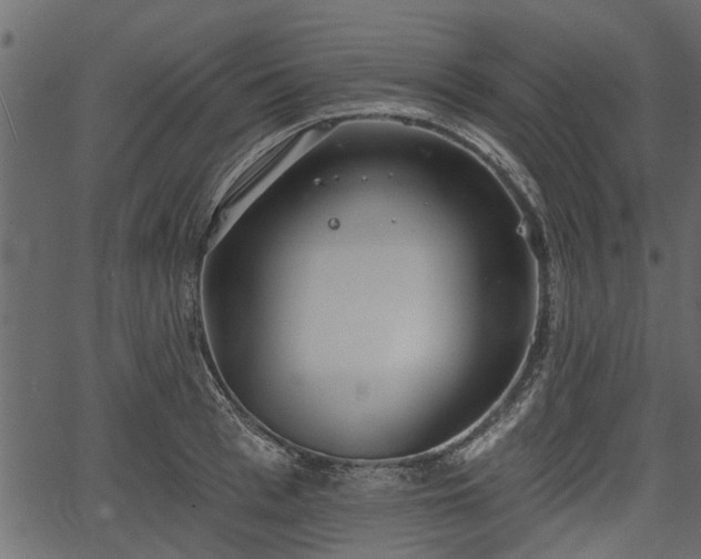 X0000066930993200603311347