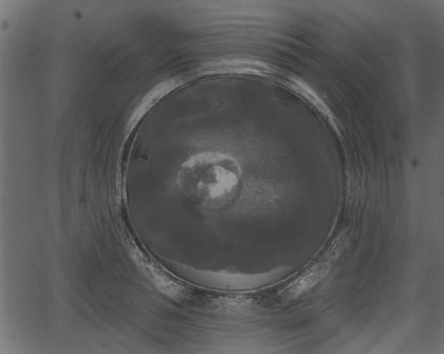 X0000066930994200603311347